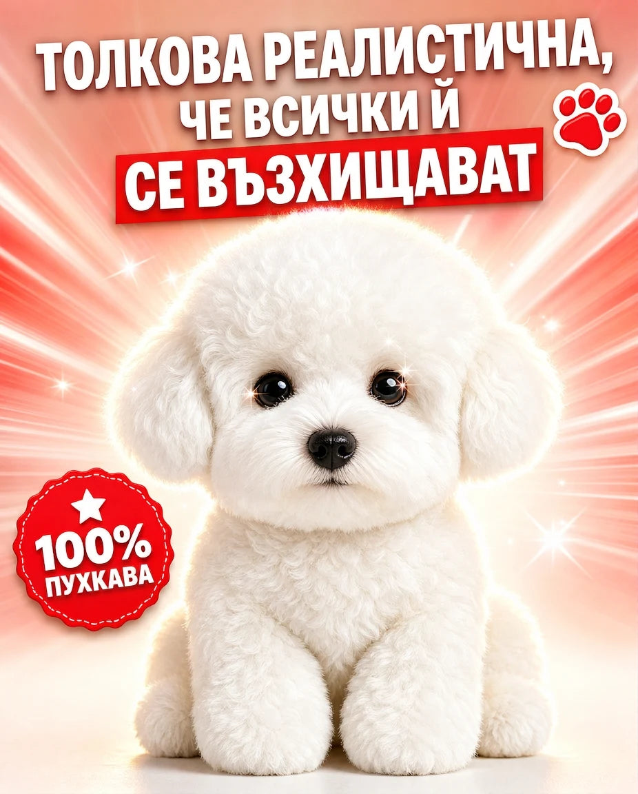 bichonlove-bg-1-hero